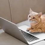 3000 *